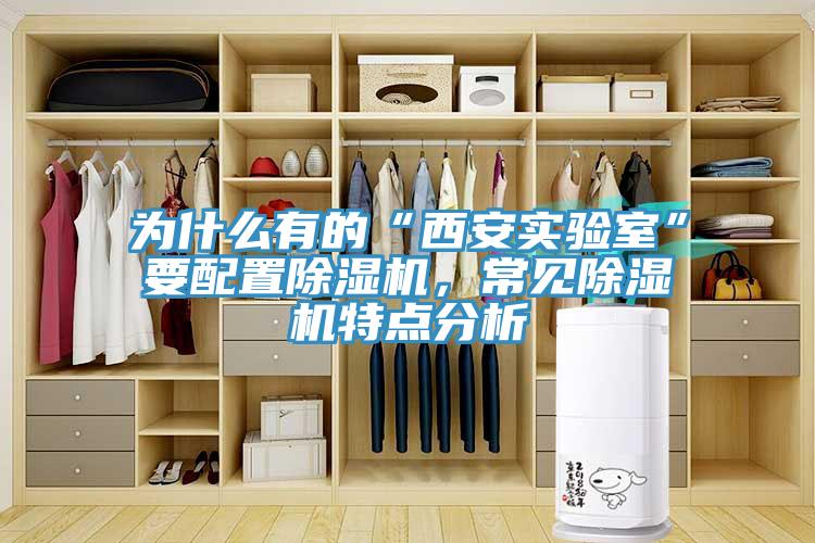為什么有的“西安實(shí)驗(yàn)室”要配置除濕機(jī)，常見(jiàn)除濕機(jī)特點(diǎn)分析