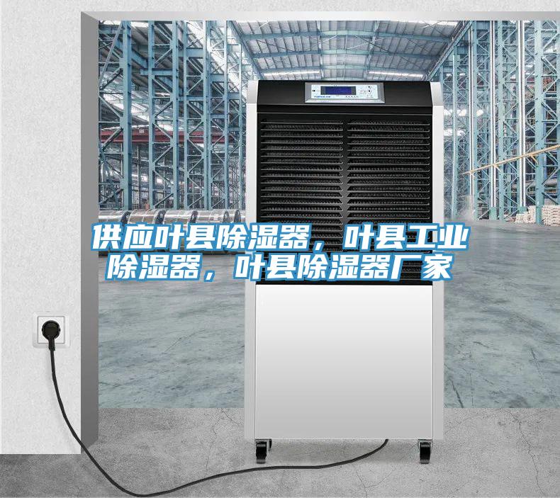 供應(yīng)葉縣除濕器，葉縣工業(yè)除濕器，葉縣除濕器廠家