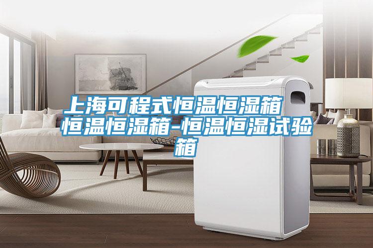 上?？沙淌胶銣睾銤裣? 恒溫恒濕箱-恒溫恒濕試驗(yàn)箱