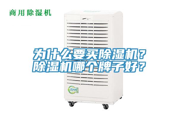 為什么要買除濕機？除濕機哪個牌子好？