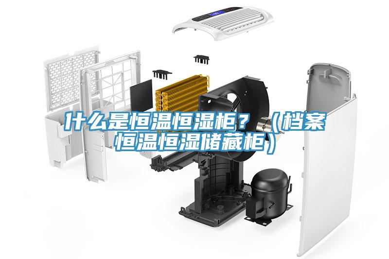 什么是恒溫恒濕柜？（檔案恒溫恒濕儲(chǔ)藏柜）