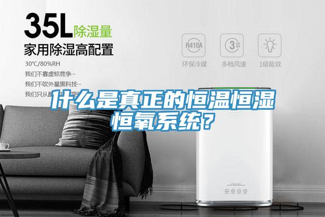 什么是真正的恒溫恒濕恒氧系統(tǒng)？