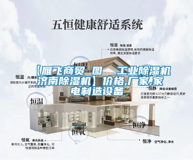 【雁飛商貿 圖  工業(yè)除濕機 濟南除濕機】價格,廠家,家電制造設備