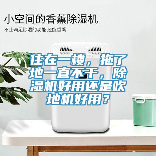住在一樓，拖了地一直不干，除濕機好用還是吹地機好用？