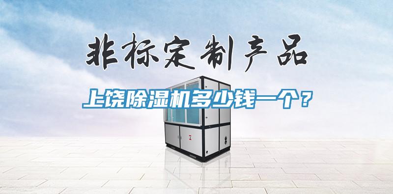 上饒除濕機多少錢一個？