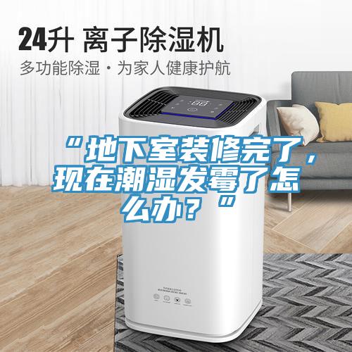 “地下室裝修完了，現(xiàn)在潮濕發(fā)霉了怎么辦？”