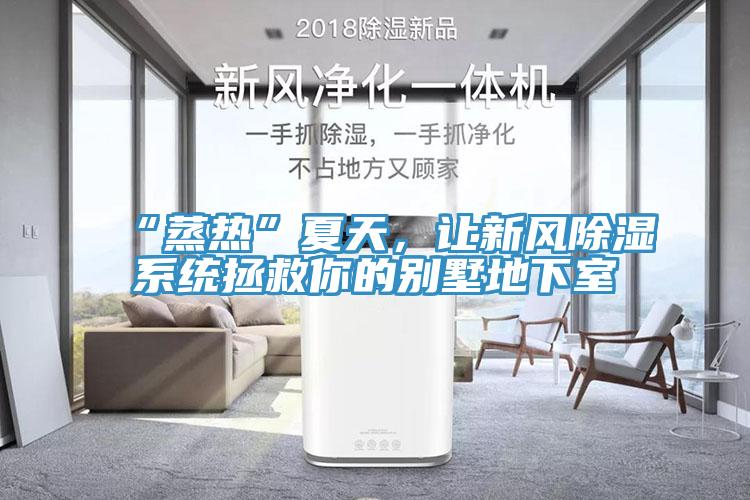 “蒸熱”夏天，讓新風除濕系統(tǒng)拯救你的別墅地下室