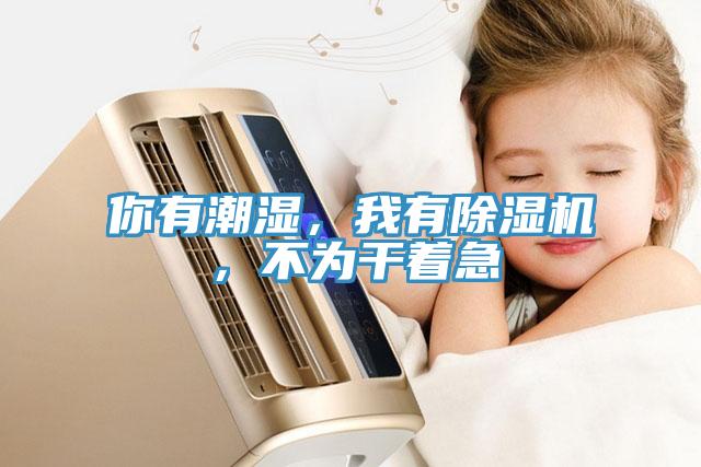你有潮濕，我有除濕機(jī)，不為干著急