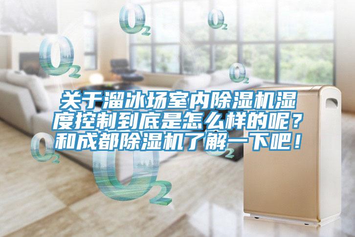 關(guān)于溜冰場(chǎng)室內(nèi)除濕機(jī)濕度控制到底是怎么樣的呢？和成都除濕機(jī)了解一下吧！