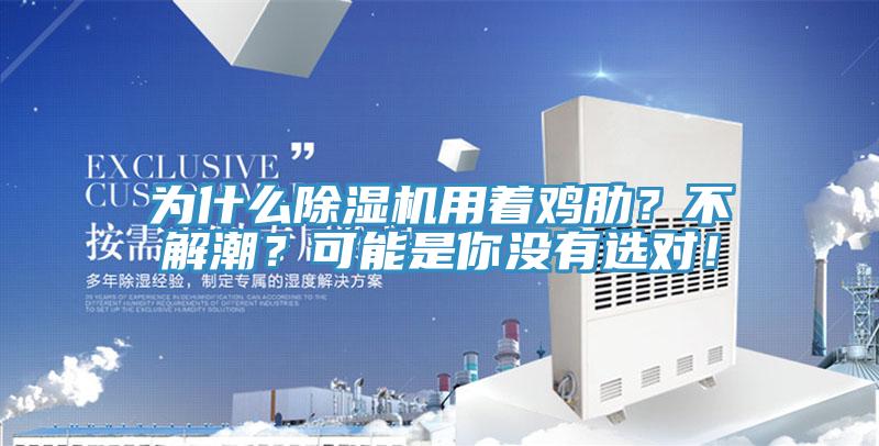 為什么除濕機用著雞肋？不解潮？可能是你沒有選對！