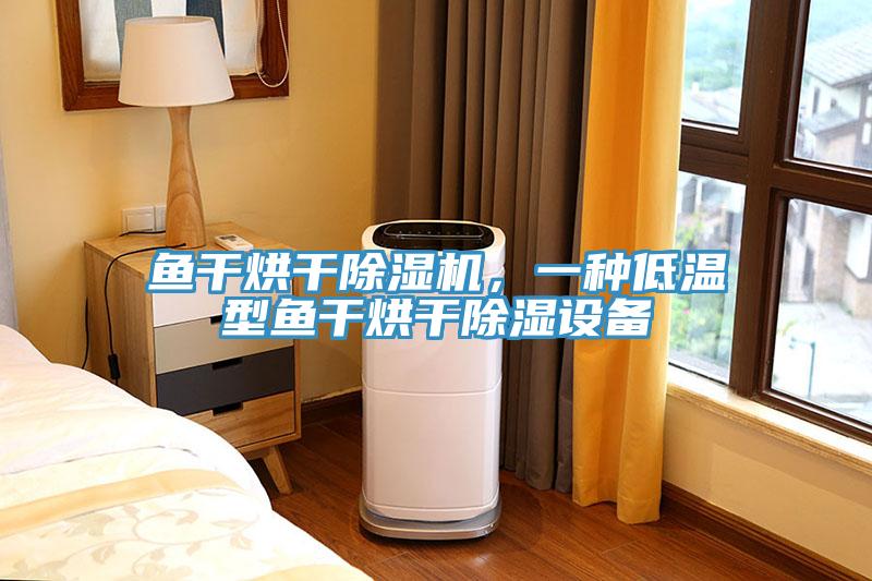 魚干烘干除濕機，一種低溫型魚干烘干除濕設備