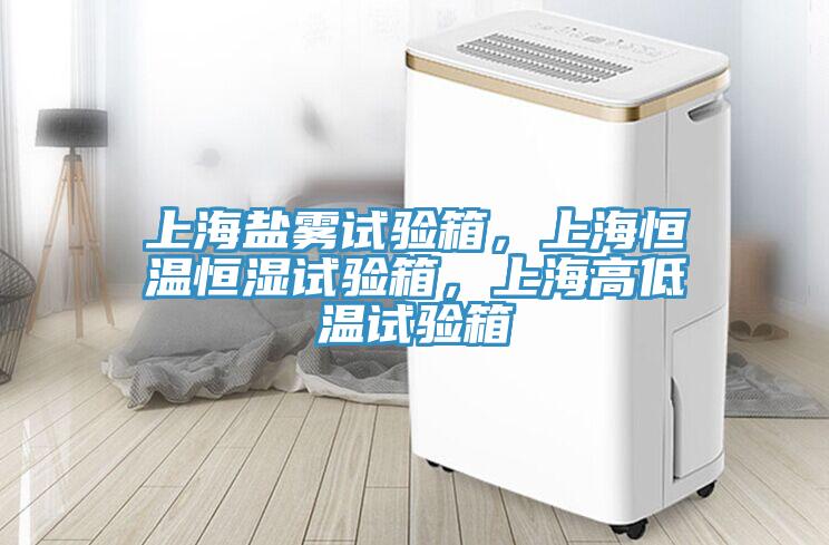 上海鹽霧試驗箱，上海恒溫恒濕試驗箱，上海高低溫試驗箱