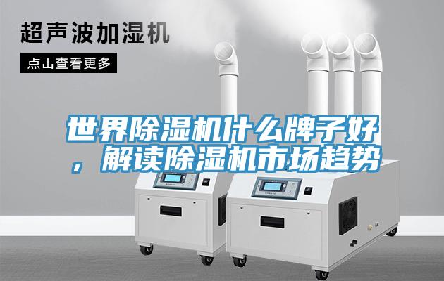 世界除濕機(jī)什么牌子好，解讀除濕機(jī)市場(chǎng)趨勢(shì)