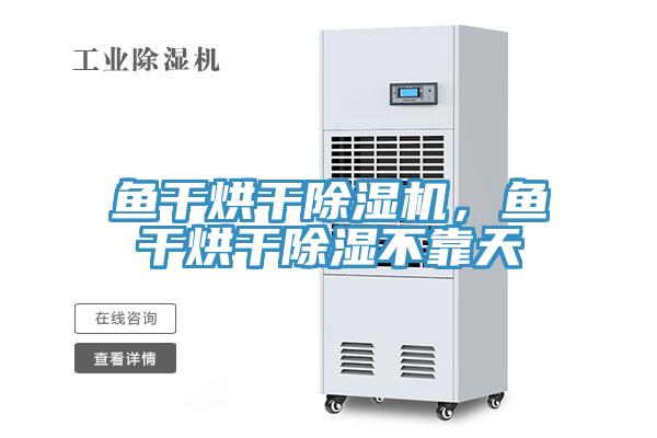 魚干烘干除濕機，魚干烘干除濕不靠天