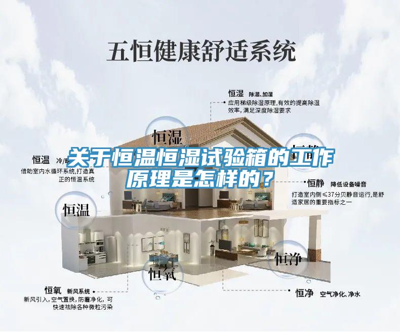 關(guān)于恒溫恒濕試驗箱的工作原理是怎樣的？