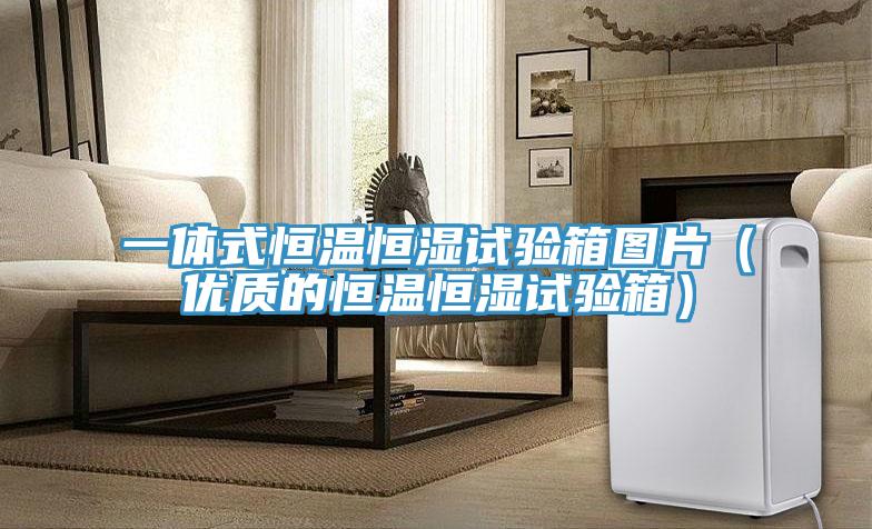 一體式恒溫恒濕試驗箱圖片（優(yōu)質的恒溫恒濕試驗箱）