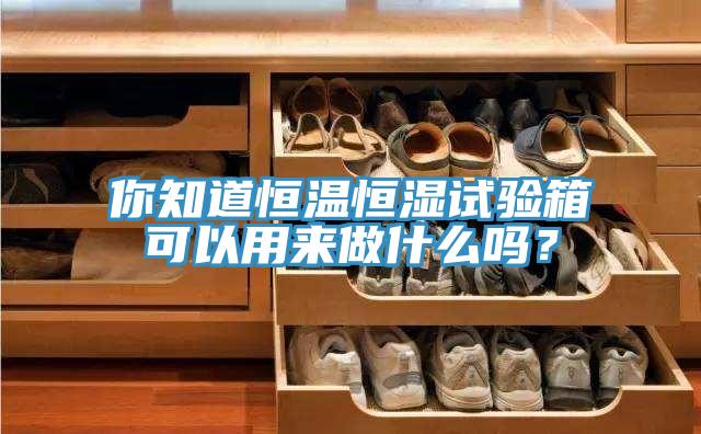 你知道恒溫恒濕試驗(yàn)箱可以用來做什么嗎？