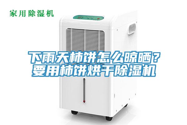 下雨天柿餅怎么晾曬？要用柿餅烘干除濕機