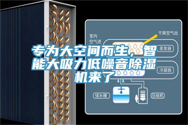 專(zhuān)為大空間而生，智能大吸力低噪音除濕機(jī)來(lái)了