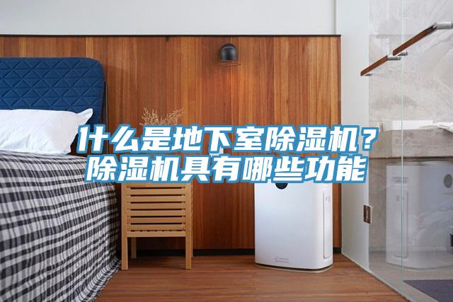 什么是地下室除濕機？除濕機具有哪些功能