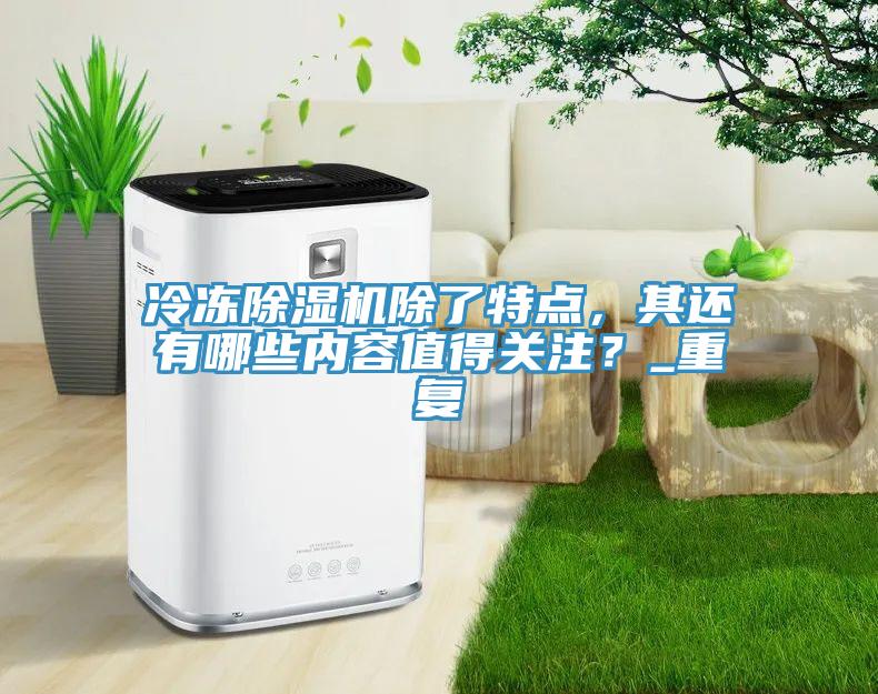 冷凍除濕機除了特點，其還有哪些內(nèi)容值得關注？_重復