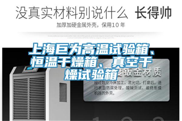 上海巨為高溫試驗(yàn)箱、恒溫干燥箱、真空干燥試驗(yàn)箱