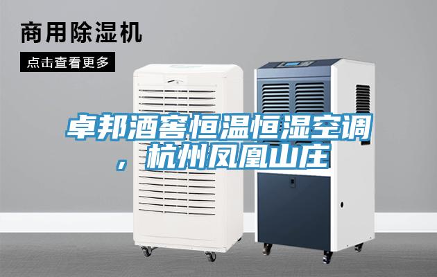 卓邦酒窖恒溫恒濕空調(diào)，杭州鳳凰山莊