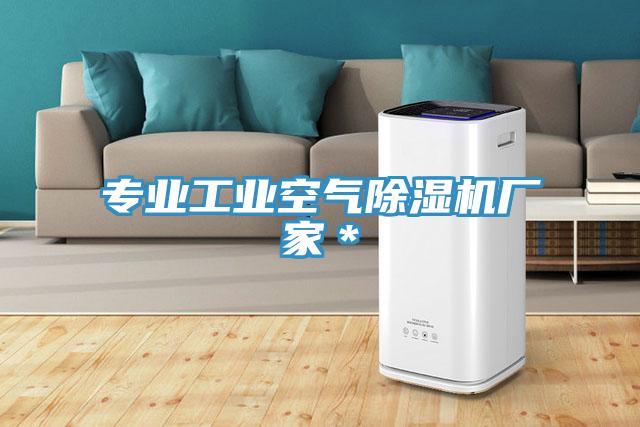 專(zhuān)業(yè)工業(yè)空氣除濕機(jī)廠家＊