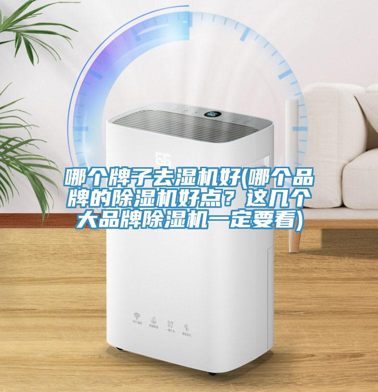 哪個牌子去濕機好(哪個品牌的除濕機好點？這幾個大品牌除濕機一定要看)
