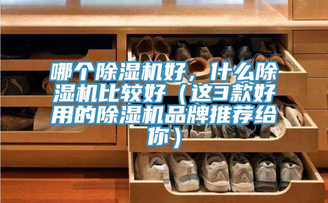 哪個除濕機好，什么除濕機比較好（這3款好用的除濕機品牌推薦給你）