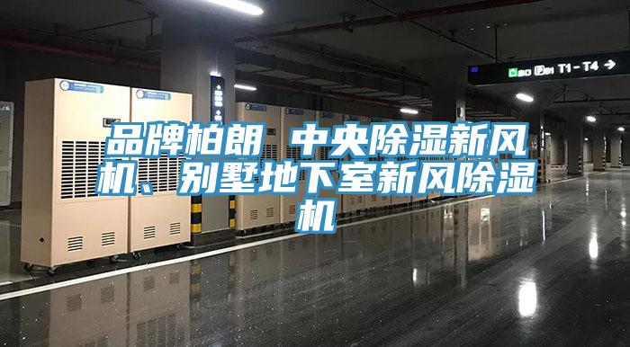 品牌柏朗 中央除濕新風(fēng)機、別墅地下室新風(fēng)除濕機