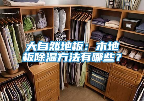 大自然地板：木地板除濕方法有哪些？