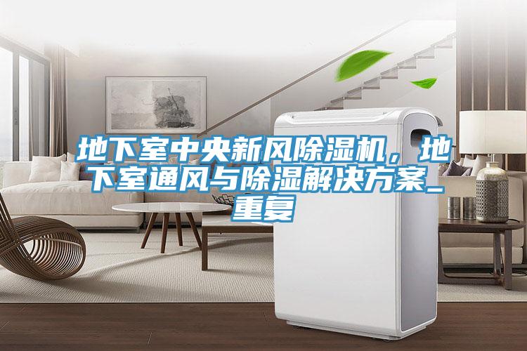 地下室中央新風(fēng)除濕機(jī)，地下室通風(fēng)與除濕解決方案_重復(fù)