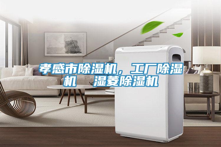 孝感市除濕機，工廠除濕機  濕菱除濕機