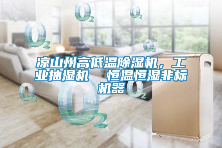涼山州高低溫除濕機，工業(yè)抽濕機  恒溫恒濕非標機器