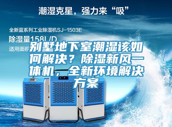 別墅地下室潮濕該如何解決？除濕新風(fēng)一體機(jī)，全新環(huán)境解決方案