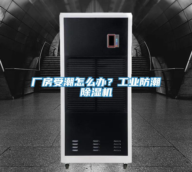 廠房受潮怎么辦？工業(yè)防潮除濕機(jī)