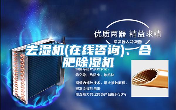 去濕機(在線咨詢)、合肥除濕機