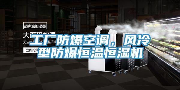 工廠防爆空調(diào)，風(fēng)冷型防爆恒溫恒濕機(jī)