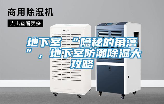 地下室≠“隱秘的角落”，地下室防潮除濕大攻略