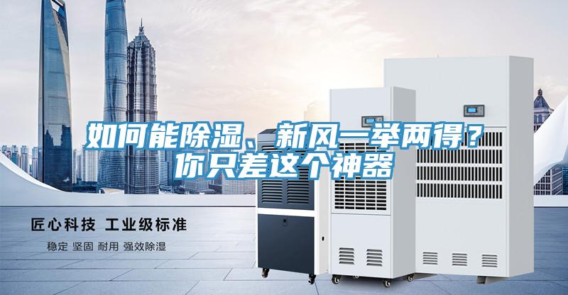 如何能除濕、新風(fēng)一舉兩得？你只差這個(gè)神器