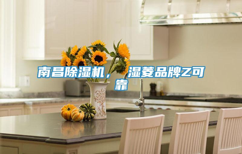 南昌除濕機(jī)， 濕菱品牌Z可靠