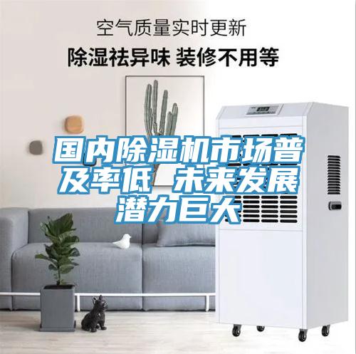 國內除濕機市場普及率低 未來發(fā)展?jié)摿薮?></div>
								<div   id=