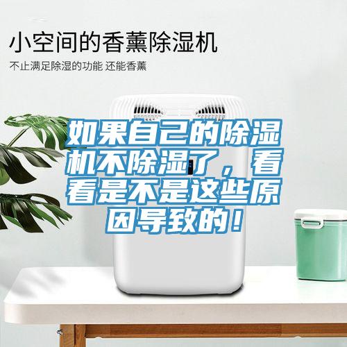 如果自己的除濕機不除濕了，看看是不是這些原因?qū)е碌模?></div>
								<div   id=