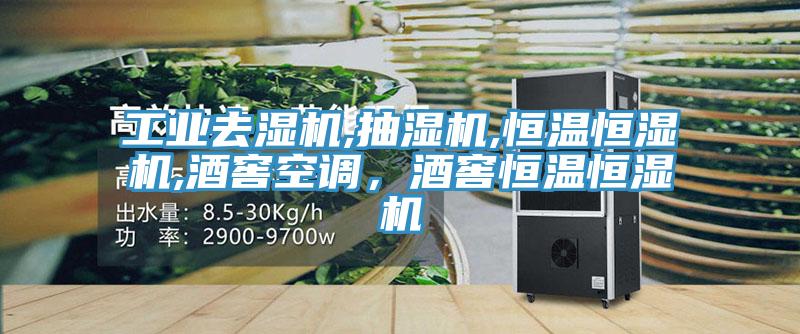 工業(yè)去濕機,抽濕機,恒溫恒濕機,酒窖空調(diào)，酒窖恒溫恒濕機