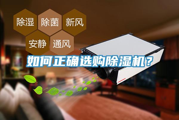 如何正確選購除濕機？