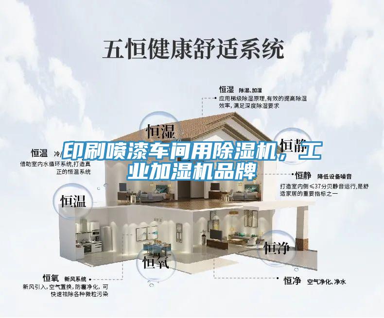 印刷噴漆車間用除濕機，工業(yè)加濕機品牌