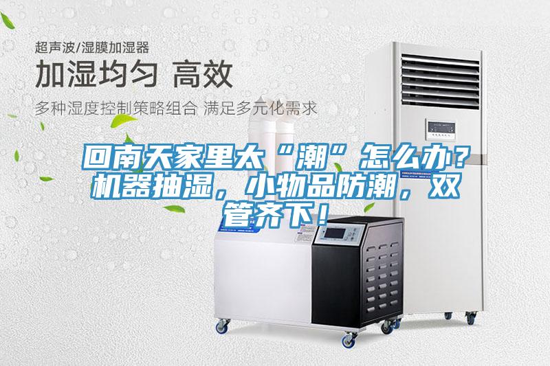 回南天家里太“潮”怎么辦？機(jī)器抽濕，小物品防潮，雙管齊下！