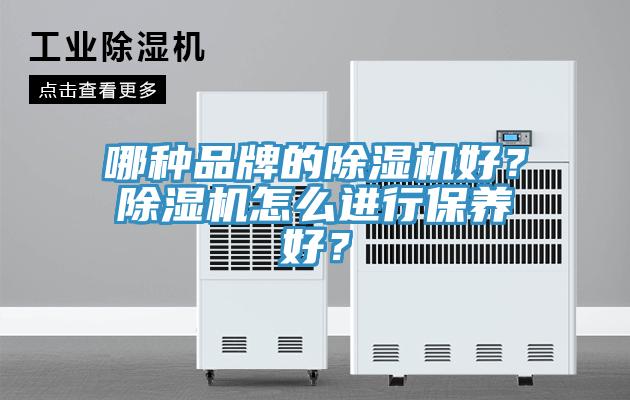 哪種品牌的除濕機好？除濕機怎么進行保養(yǎng)好？