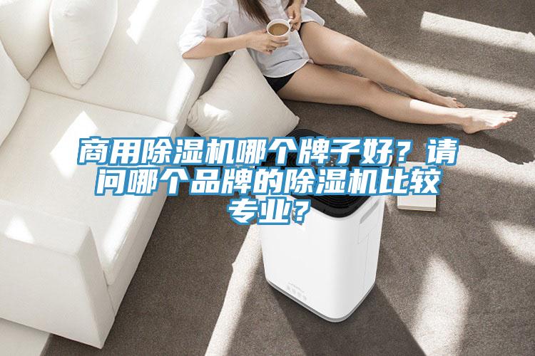 商用除濕機(jī)哪個(gè)牌子好？請(qǐng)問哪個(gè)品牌的除濕機(jī)比較專業(yè)？